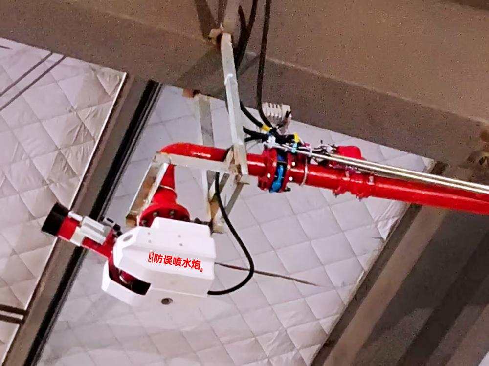 1764125320.jpg 30L消防水炮現場清晰圖 (2).jpg